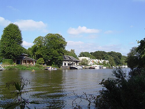 Eel Pie Island Hotel
